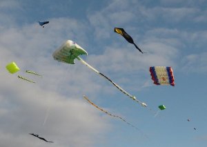 Big kites flying