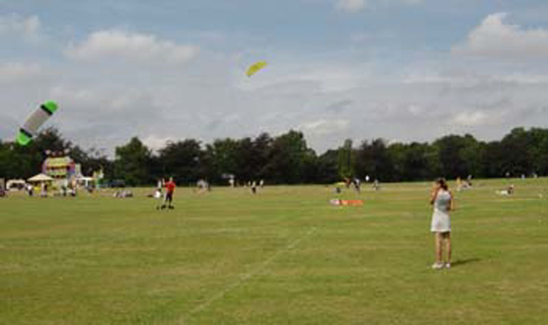 cov16