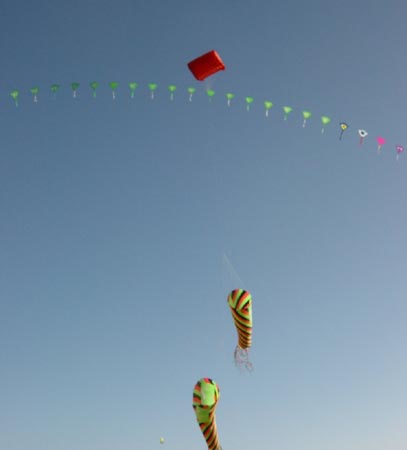 Dsc00028