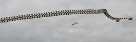 Dsc00023