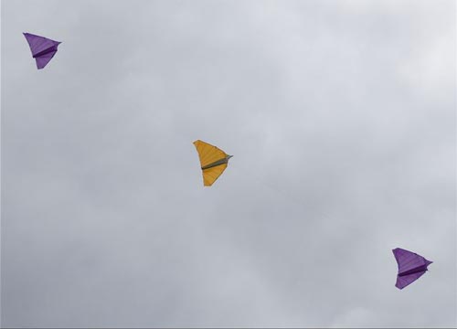 DSC_0037