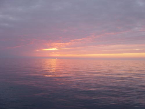 DSC00513