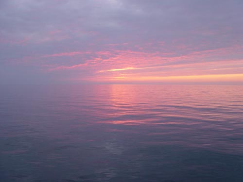 DSC00519