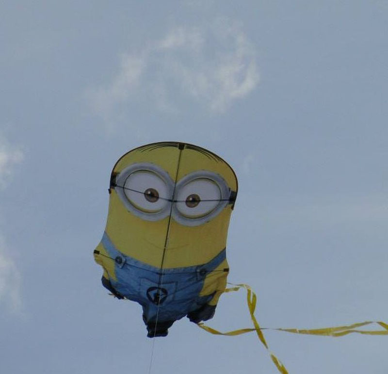 Minion